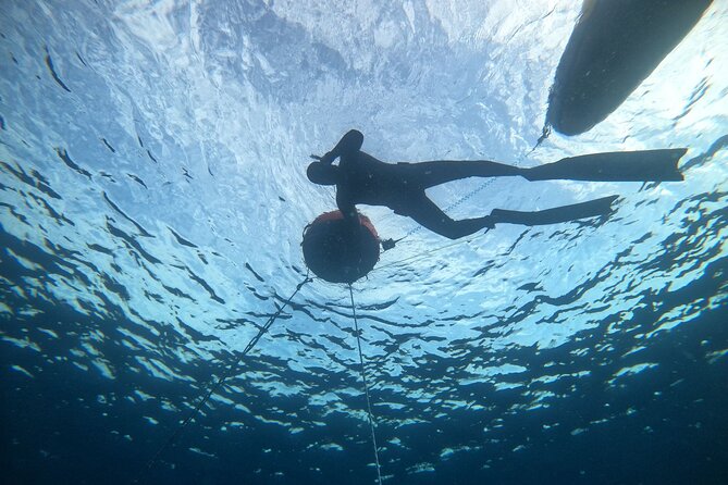 Freediving at Museum Atlantico - Discover the Underwater Museum of Lanzarote