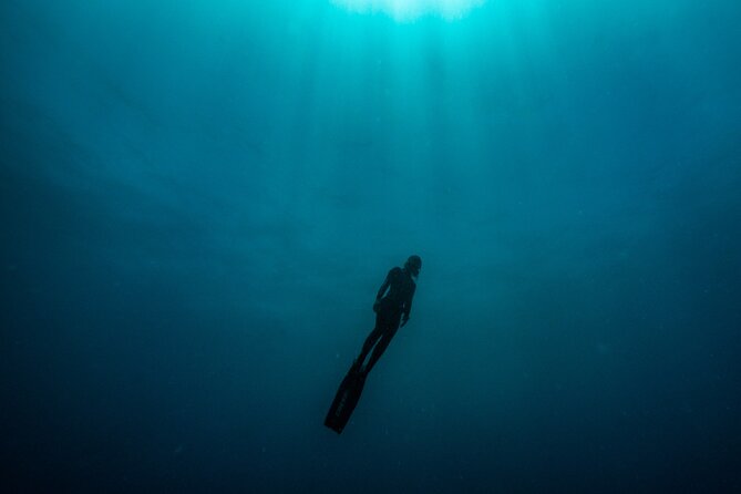 Freediving at Museum Atlantico - Experience with Certified Freedivers