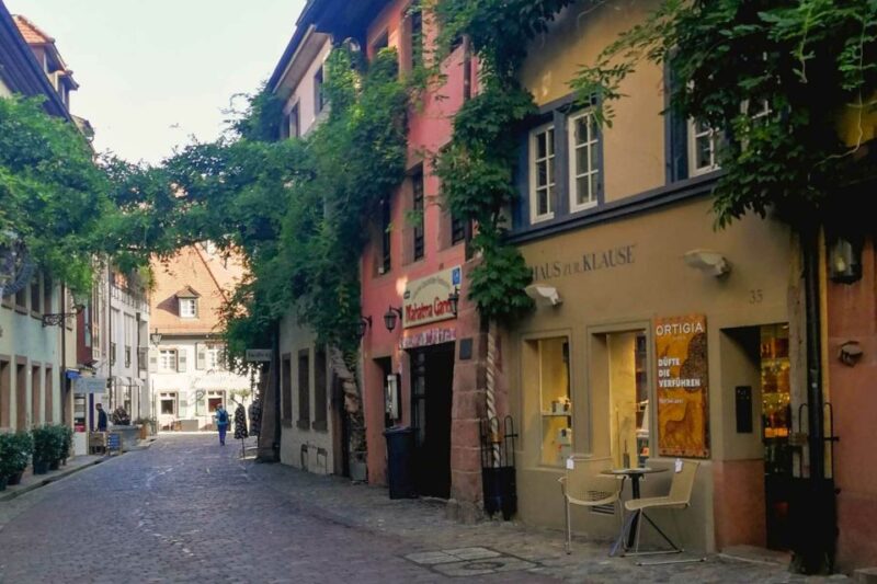 Freiburg: Gässle, Bächle and More City Tour - Easy, Flexible Booking and Practical Details