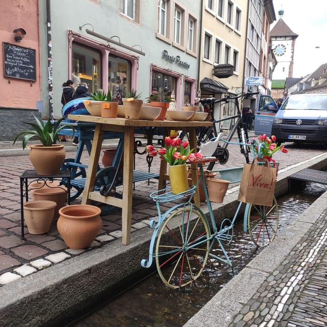 Freiburg im Breisgau: old town group walking tour Italian - Architectural Insights: Habsburg Influence and Historic Buildings