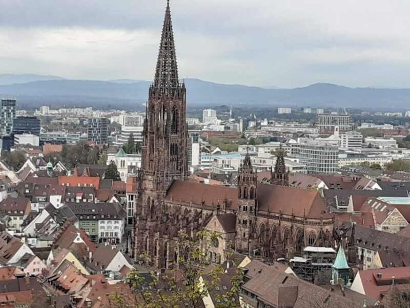 Freiburg: Walking and Strolling the Historic Center - Starting at Münsterplatz, the Heart of Freiburg
