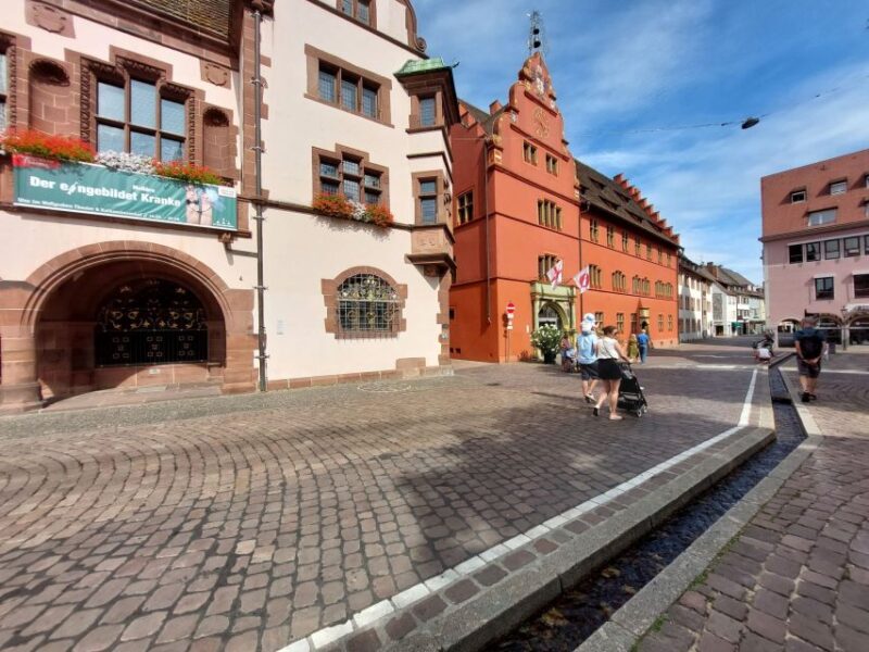 Freiburg: Walking and Strolling the Historic Center - The Crocodile in Gerberau and Local Curiosities