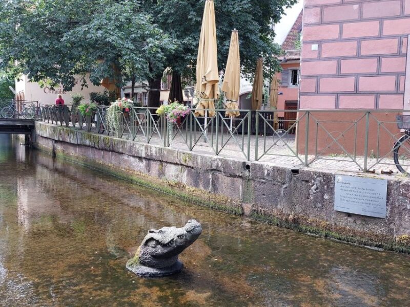 Freiburg: Walking and Strolling the Historic Center - Who Will Enjoy This Freiburg Tour Most