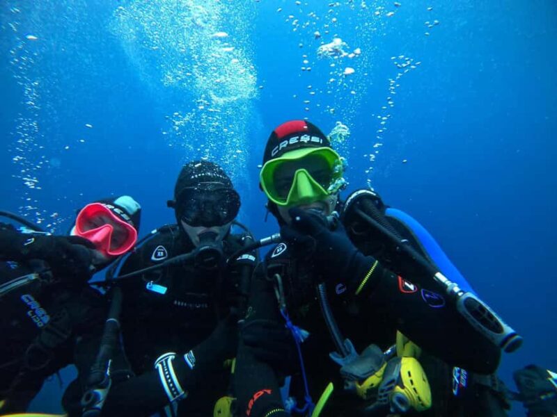 Fréjus: Diving Experience in Port-Fréjus with an Instructor - Underwater Encounters with Fish and Marine Life