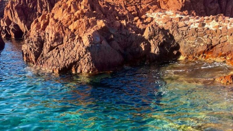 Fréjus : Estérel Calanques Speedboat Tour + Swim Stop - The Role of the Captain and Guide