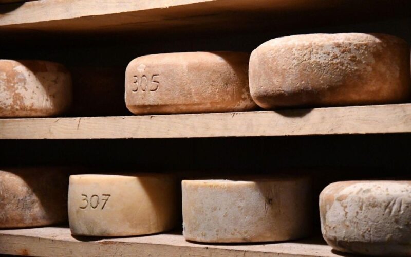 French Basque Country Farms & Food Tour - Final Thoughts on the French Basque Country Farms & Food Tour