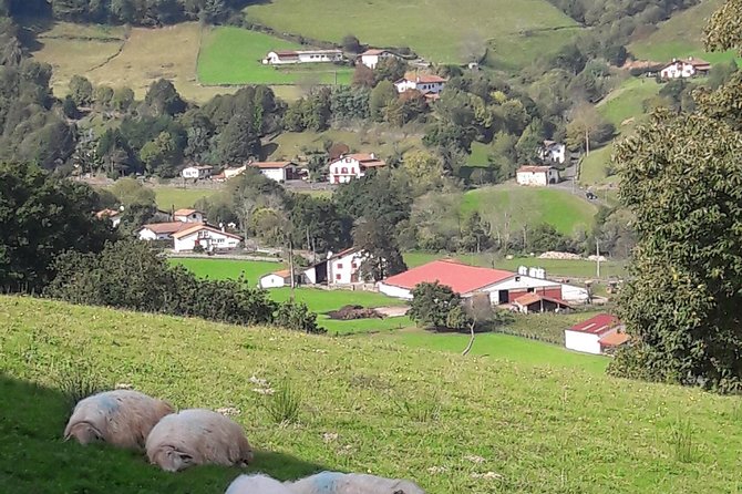 French-Basque Countryside Private tour Discover the hidden beauty of Pyrenees - Sare: Prehistoric Heritage at the Foot of La Rhune