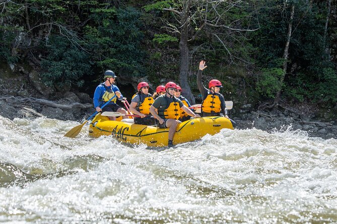 French Broad Gorge Whitewater Rafting Trip - Exciting Whitewater Adventure on Asheville’s French Broad River