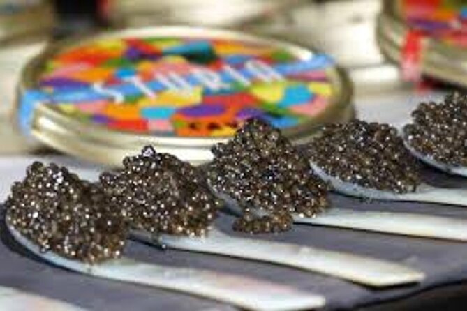 "FRENCH EXCELLENCE" : Fine Wines & Delicacies pairing Workshop - An Exclusive Bordeaux Food and Wine Pairing Experience at an Accessible Price