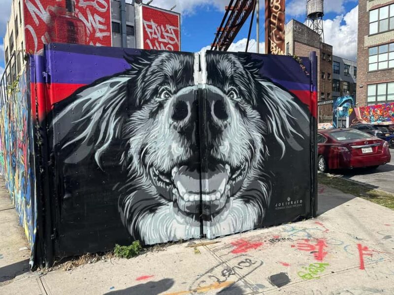 French Guided Tour of Brooklyn Bushwick and Williamsburg - Practical Details and Logistics