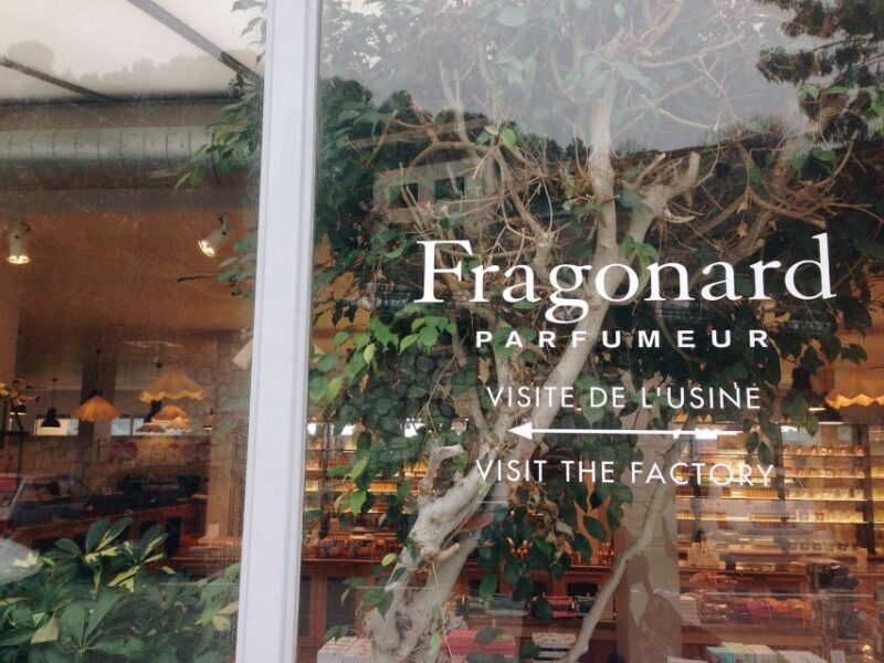 French Riviera and Provence Private Day Trip - Panoramic Views from Gourdon