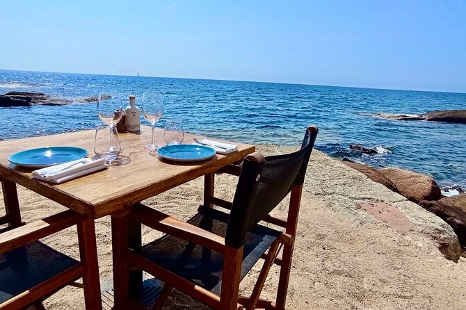 French Riviera Colorado & Var West by Train (from Cannes/Nice) - Discovering Port du Poussai and Its Nautical Charms