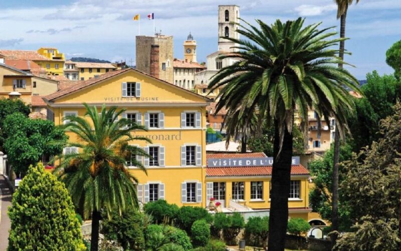 French Riviera: Countryside Half-Day Tour from Nice - Exploring Grasse: The Perfume Capital of France