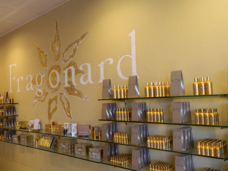 French Riviera: Countryside Half-Day Tour from Nice - Physical Requirements and Practical Tips