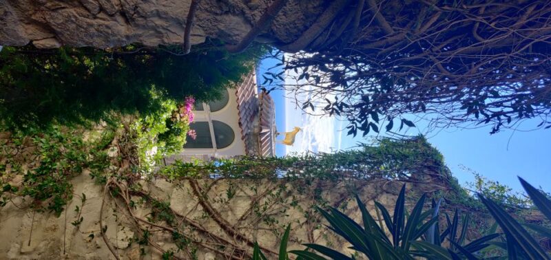 French Riviera : highlights & off the beaten path - Unique Aspects That Set This Tour Apart