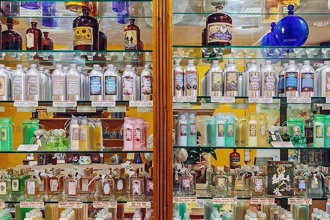 French Riviera in One Day from Nice shared tour - Key Points