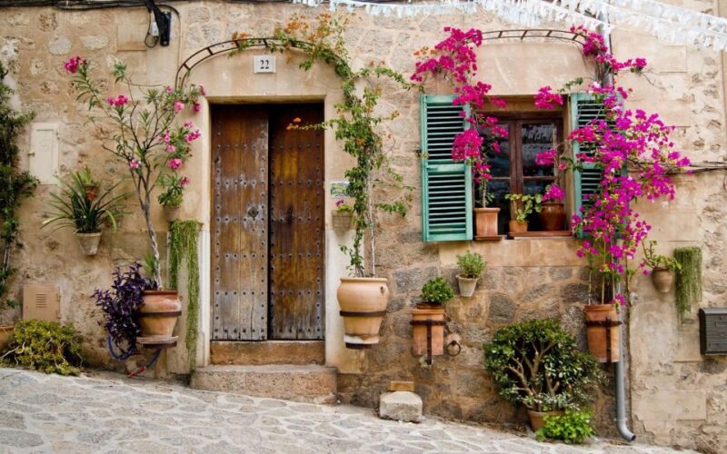 French Riviera & Medieval Villages Full-Day Private Tour - Physical Requirements and Accessibility