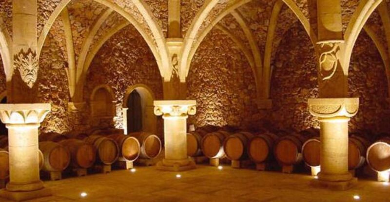 French Riviera: Provencal Wine Tour - Discover the French Riviera: Provençal Wine Tour with Private Guide