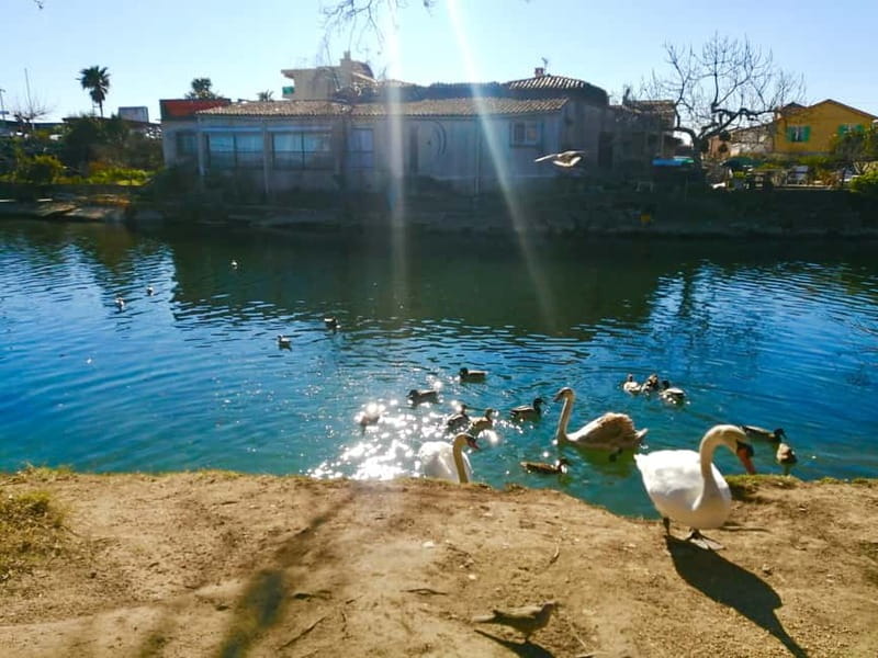 French Riviera's Jewels - E-Bike Tour Antibes - Saint-Paul - Exploring Antibes’ Highlights and Fortifications