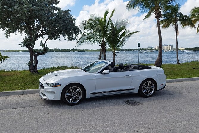 French tour of Miami in convertible mustang - Discover Miami in Style with a Private Convertible Mustang Tour