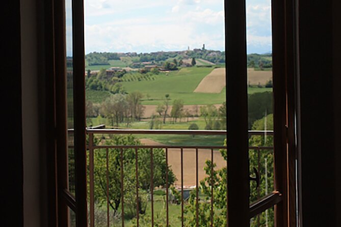 Fresh pasta with a view near Asti Langhe, Roero, Monferrato - Crafting Pici Senesi and Seasonal Desserts