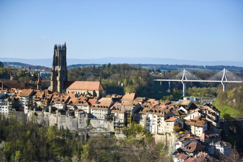 Fribourg and Gruyeres Full-Day Trip - Who Will Appreciate This Tour Most?