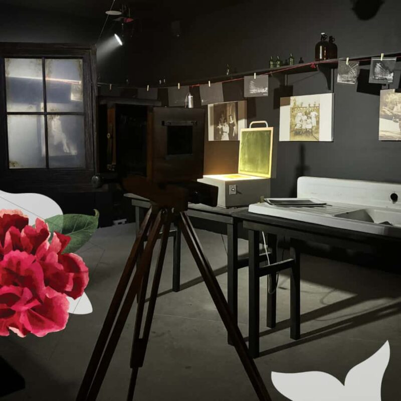 Frida Kahlo: Live Art Experience - Tulum - The Unique Setting of Tulums Archaeological Zone