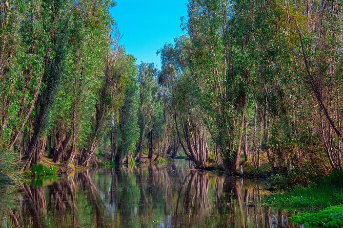 Frida Kahlo Xochimilco and University City - Discovering the Architectural Marvels of Universidad Autónoma de Mexico (UNAM)