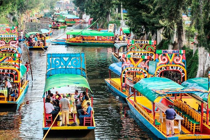 Frida Kahlo's House, Coyoacan and Xochimilco - All Day Tour - Unam and Its Biblioteca Central