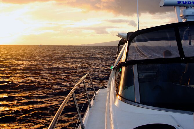 Friday Fireworks Cruise in Oahu, Hawaii - Comfortable Transportation and Convenient Meeting Points in Honolulu