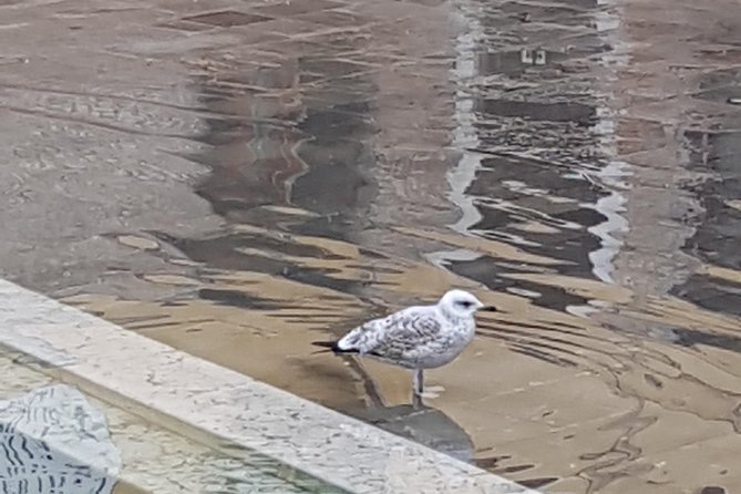 FriendInVenice: Experience the True Venice with a Private Tour - Practical Tips for Making the Most of Your Tour