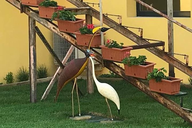 FriendInVenice Murano Burano Torcello Private Tour By Luxury Boat - Comparing Similar Tours and Value