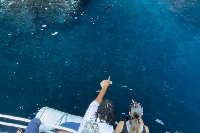 Friendly discovery of Scandola Calanques de Piana and meal stop at Girolata - The Village of Girolata and the Lunch Stop