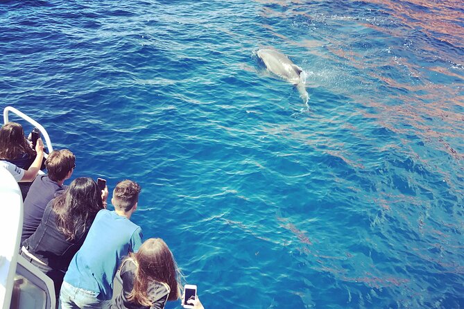 Friendly getaway to the Calanques of Piana from Cargèse - Key Points