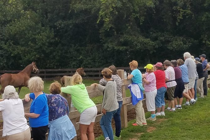 Friesian Herd Tours, Workshops, Classes and Retreats in the Kettle Moraine area. - Meet the Rare Red Friesian Horses on a Private Wisconsin Ranch Tour
