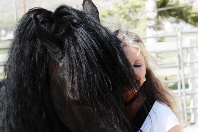 Friesian Herd Tours, Workshops, Classes and Retreats in the Kettle Moraine area. - Key Points