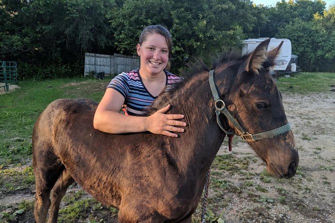 Friesian Herd Tours, Workshops, Classes and Retreats in the Kettle Moraine area. - How the Tour Educates About Red Friesians