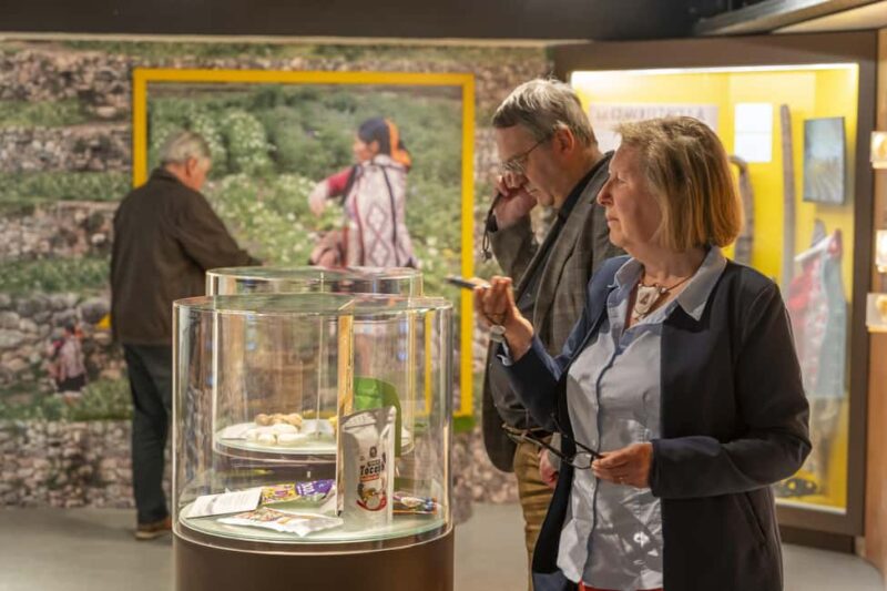 Frietmuseum Brussels: Entry to the fries museum with a tasty treat - Frietmuseum Brussels: A Tasty, Educational Journey into Belgian Fries