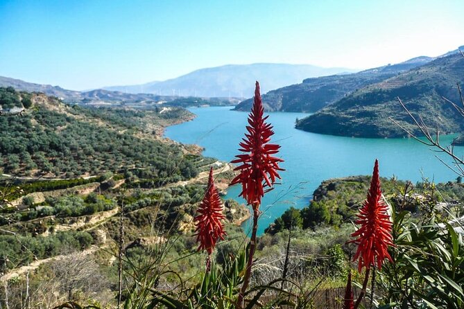 Frigiliana, Nerja Cave and The Balcony of Europe Private Tour - Additional Details and Considerations