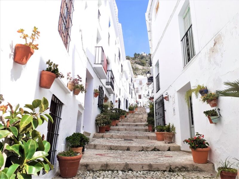 Frigiliana: Private walking tour - Key Points