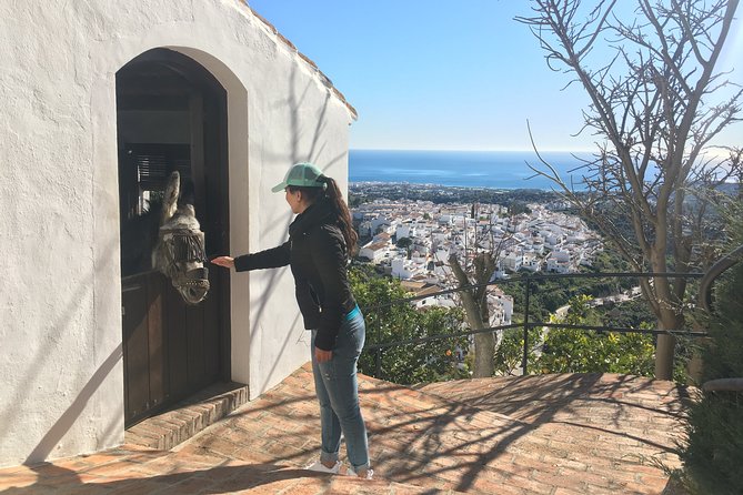 Frigiliana Small-Group Hike and Wine Tasting Tour from Malaga - Logistics: Meeting Point and Group Size