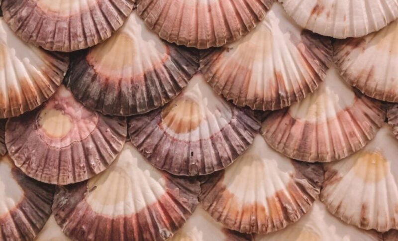 From A Coruña to Rías Baixas: Unforgettable Coastal Wonders - Wine Tasting in Cambados, the Albariño Capital