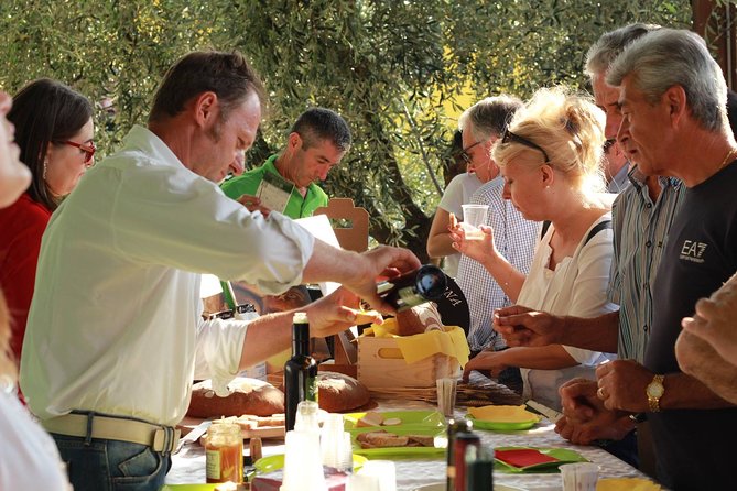 From Abano Montegrotto Olive Oil & Wine in the Euganean Hills - Discover the Heart of the Euganean Hills for Under $107