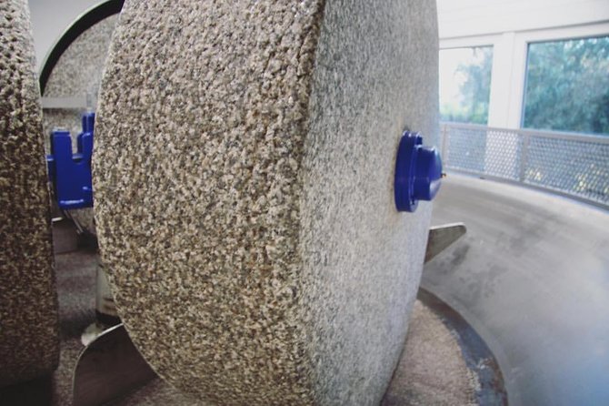 From Abano Montegrotto Olive Oil & Wine in the Euganean Hills - Personalized Guided Experience with Expert Hosts