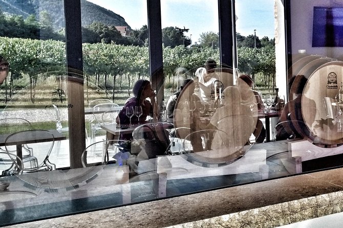 From Abano Montegrotto, Wine Tour in the Euganean Hills - Entrance to the European-Beauty Garden and Fish Ponds