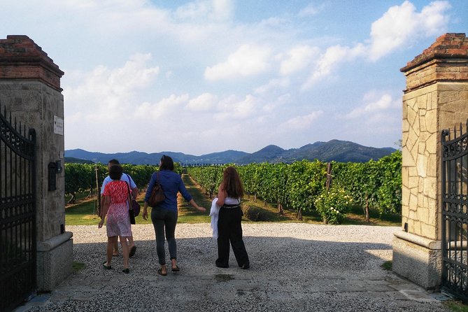 From Abano Montegrotto, Wine Tour in the Euganean Hills - Wine and Food Paired Tasting at Cantina Colli Euganei