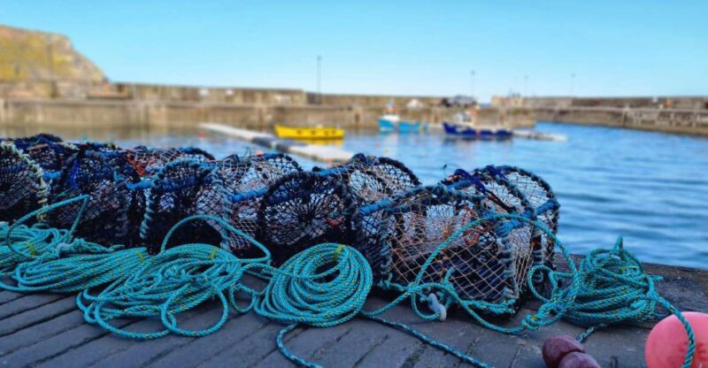 From Aberdeen: Coastal Villages of Aberdeenshire Tour - Key Points