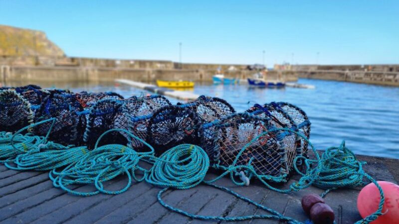 From Aberdeen: Coastal Villages of Aberdeenshire Tour - Cruden Bay and the Ruins of New Slains Castle