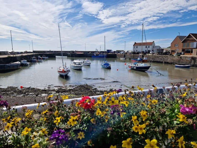 From Aberdeen: Guided Day Trip, Coast & Castle Visit - Scenic Drive Through Cairn O’Mount and Highland Landscapes