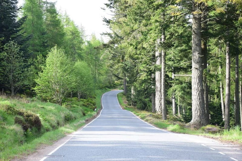From Aberdeen: Guided Day Trip, Coast & Castle Visit - Mill of Benholm and the Charm of Girdleness Lighthouse